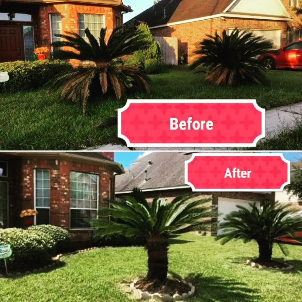 Local lawn mowing service experts serving Katy, TX - Clean My House