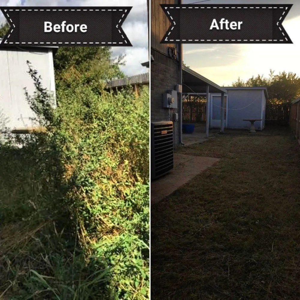 Professional yard maintenance in Katy, TX by Clean My House