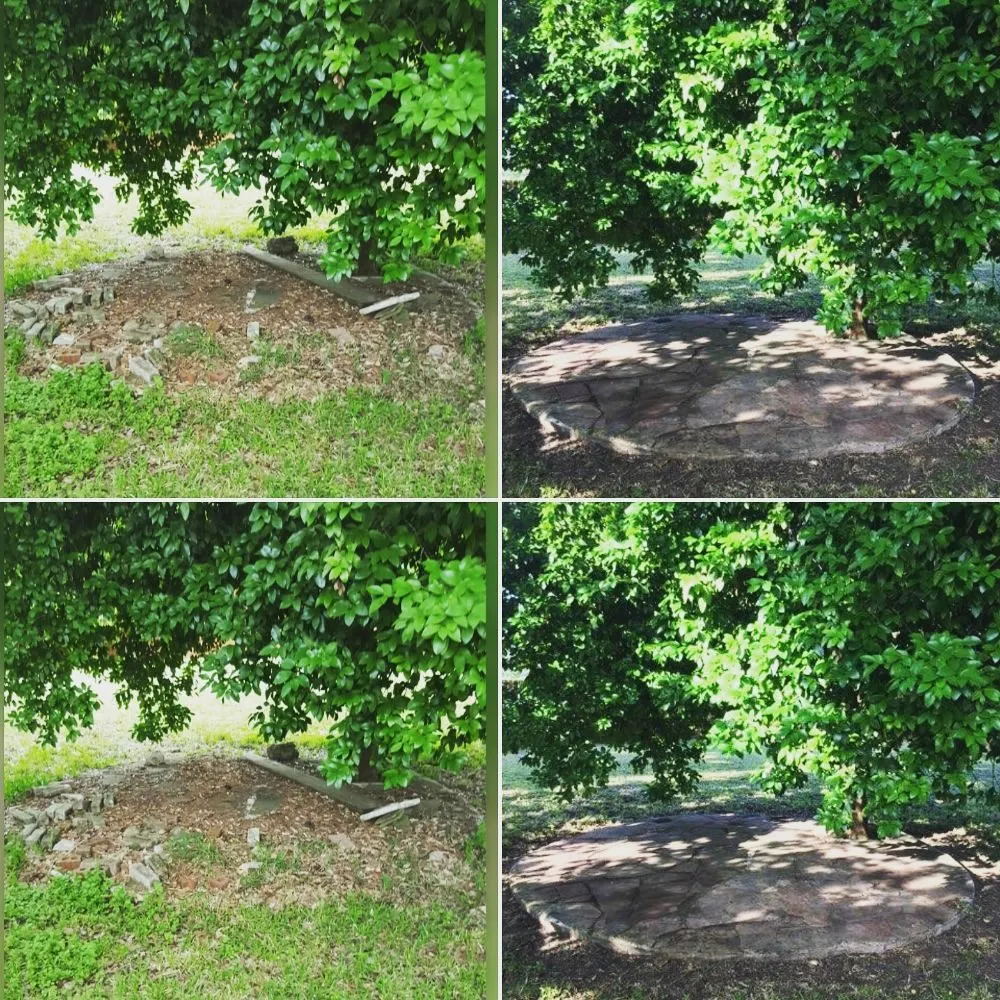 Top-rated lawn care service for residential properties in Katy, TX by Clean My House