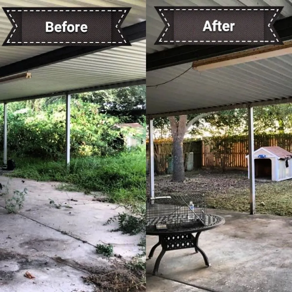 Expert lawn care service in Katy, TX - Clean My House