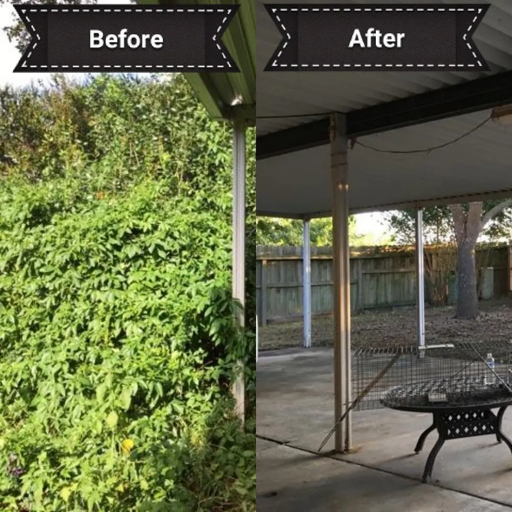 Affordable landscaping services with custom design in Katy, TX by Clean My House