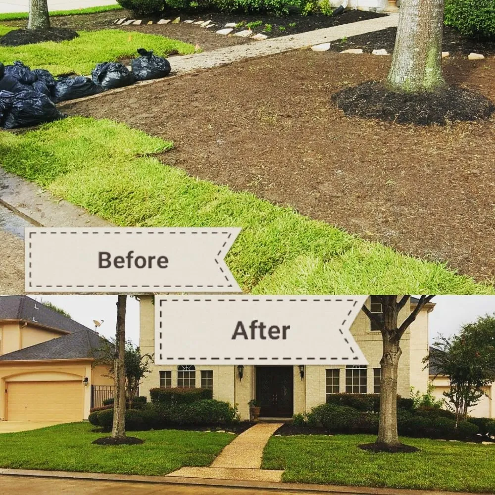 Top-rated lawn mowing service for year-round maintenance in Katy, TX by Clean My House