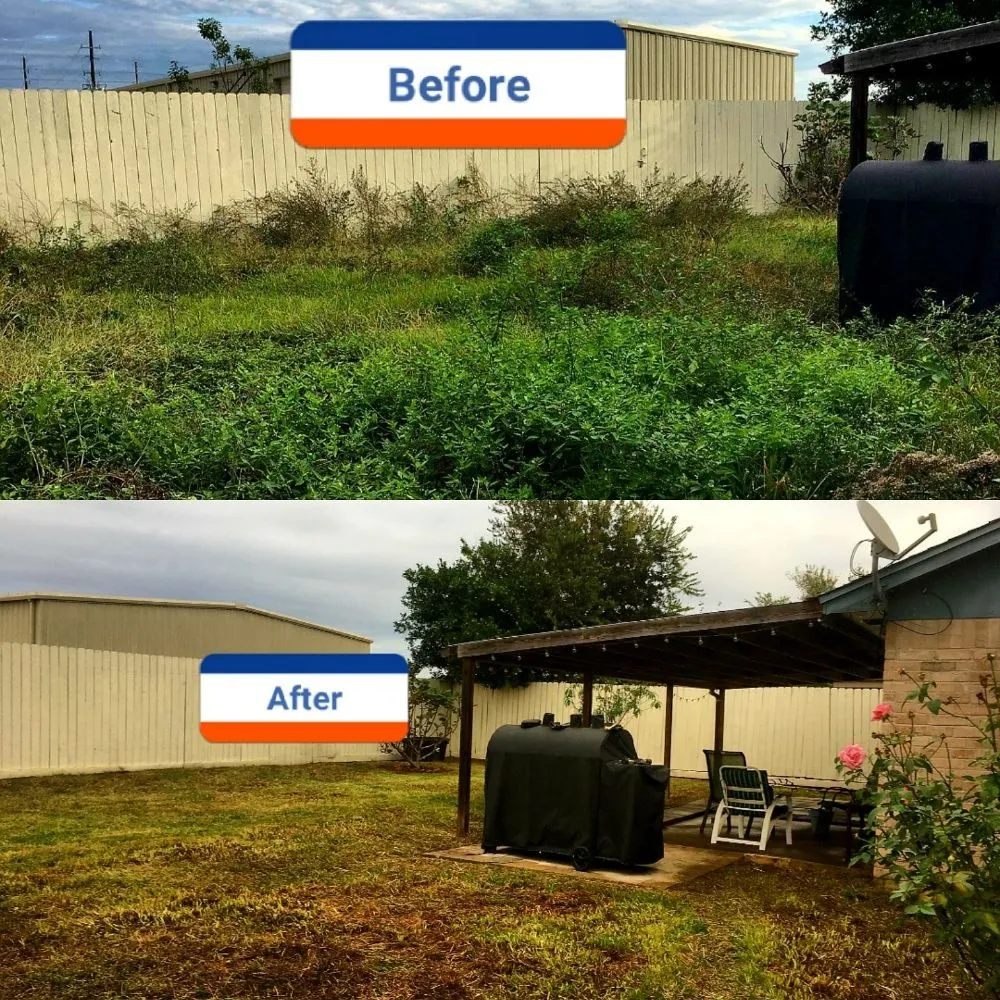Reliable landscaping services for homes in Katy, TX by Clean My House