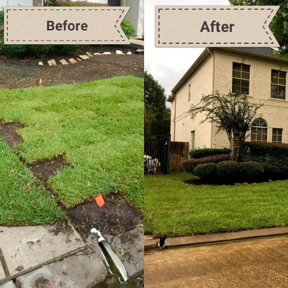Custom yard cleanup service experts serving Katy, TX - Clean My House