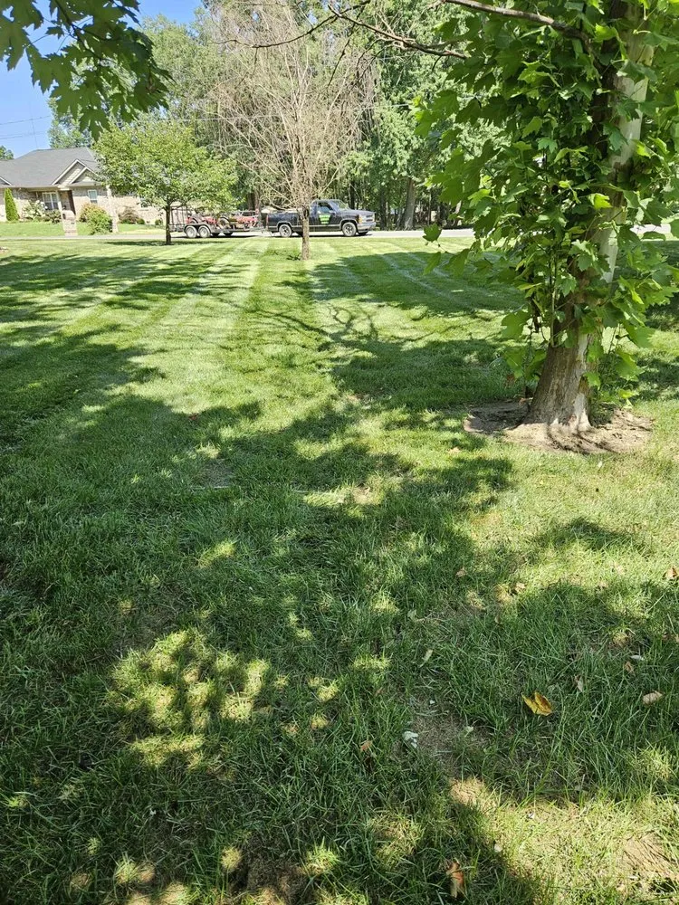 Expert landscaping services for outdoor upgrades in Paducah, KY by Clean N Crisp Lawncare