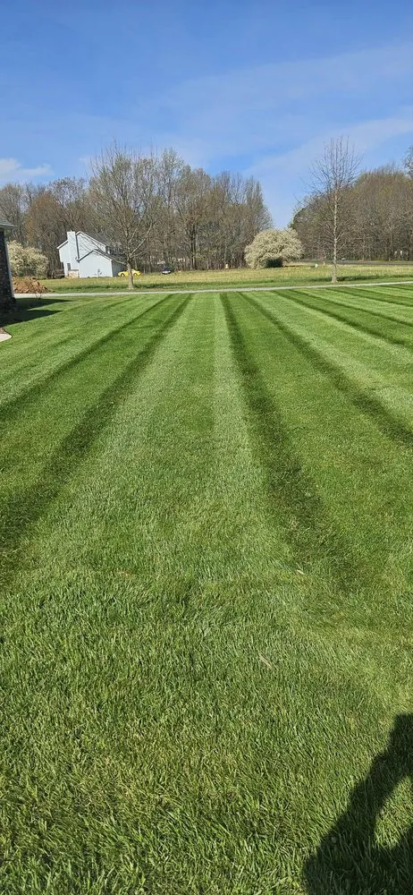 Affordable residential landscaping in Paducah, KY by Clean N Crisp Lawncare