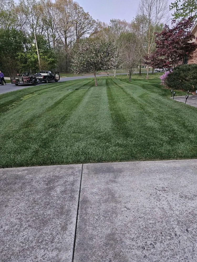 Expert yard cleanup service experts serving Paducah, KY - Clean N Crisp Lawncare