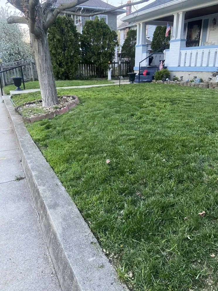 Custom yard maintenance in Indianapolis, IN by Clean n Cut Lawn Care