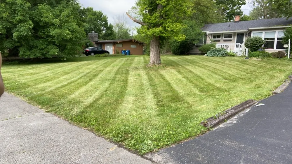Local landscape design for outdoor upgrades across Indianapolis, IN - Clean n Cut Lawn Care
