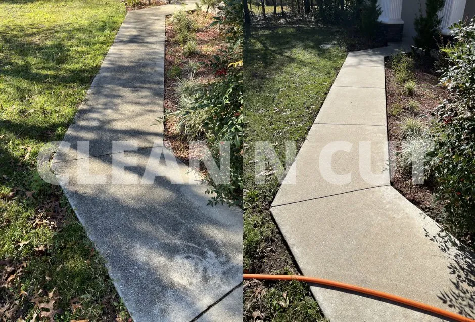 Affordable residential landscaping in Pine Ridge, FL by Clean N Cut