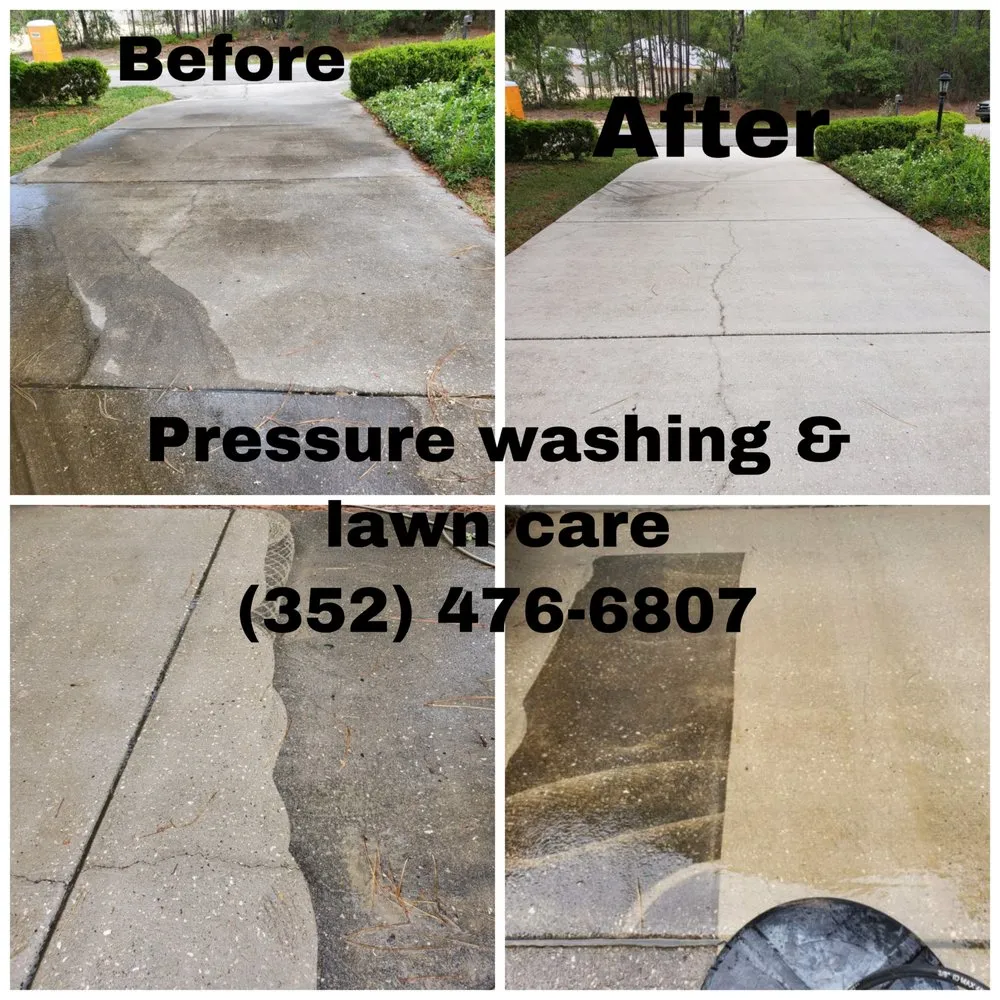 Expert yard cleanup service in Pine Ridge, FL - Clean N Cut
