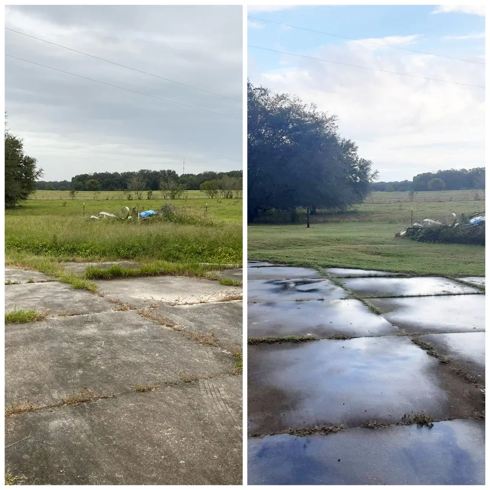 Custom outdoor landscaping experts serving Pine Ridge, FL - Clean N Cut