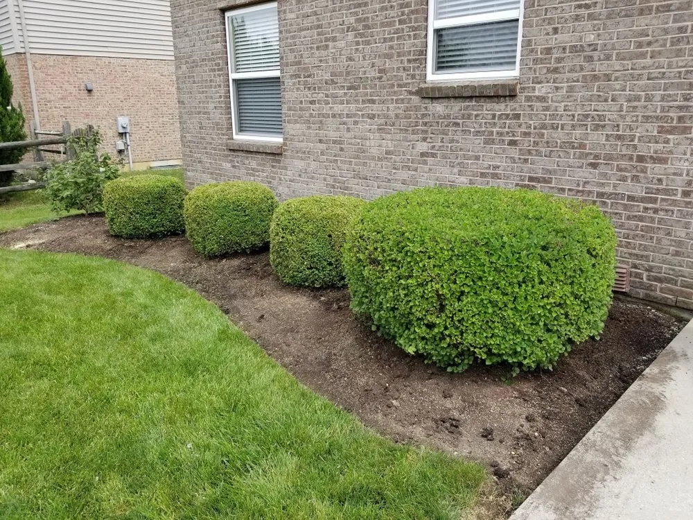 Affordable outdoor landscaping in Findlay, OH - Clean N Green Lawn Services