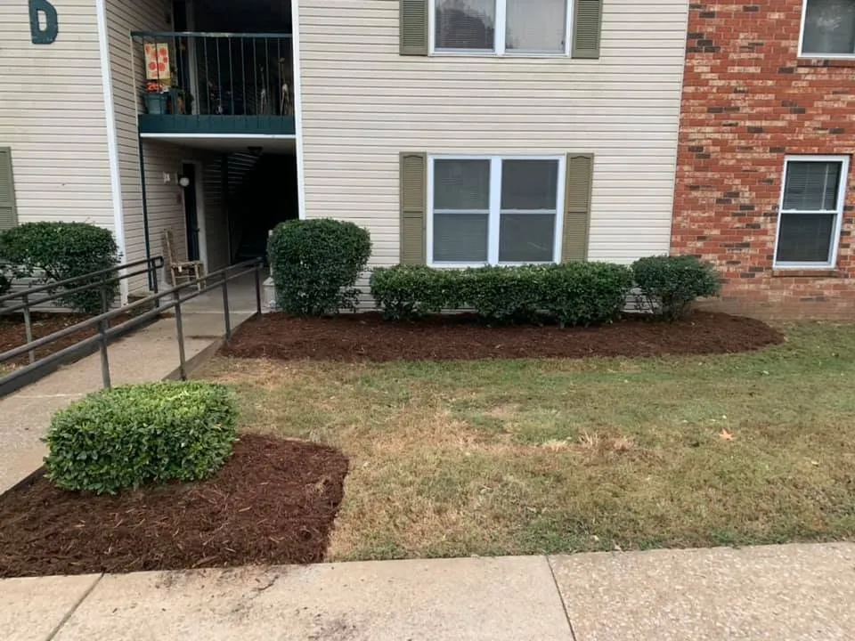 Trusted lawn care service in Findlay, OH - Clean N Green Lawn Services