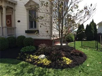 Top-rated lawn care service near you in Strongsville, OH by Clean N’ Green Lawn Services