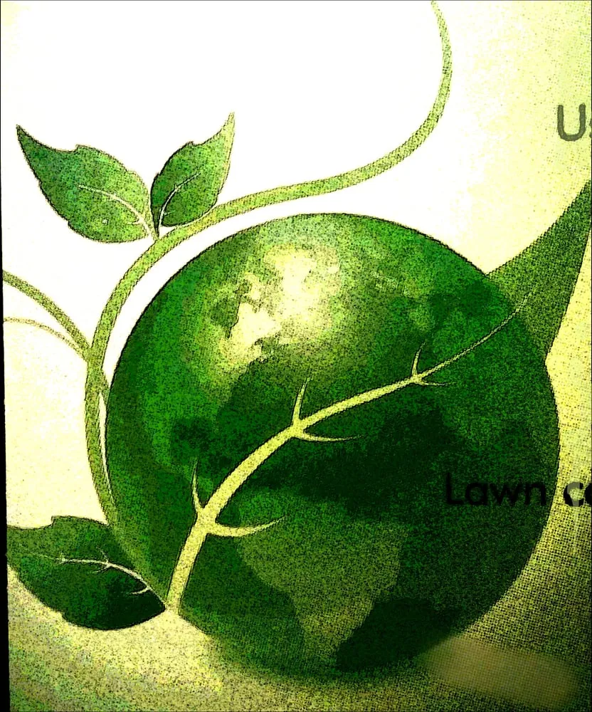 Top-rated yard cleanup service for beautiful yards in Navarre, FL by Clean N Green