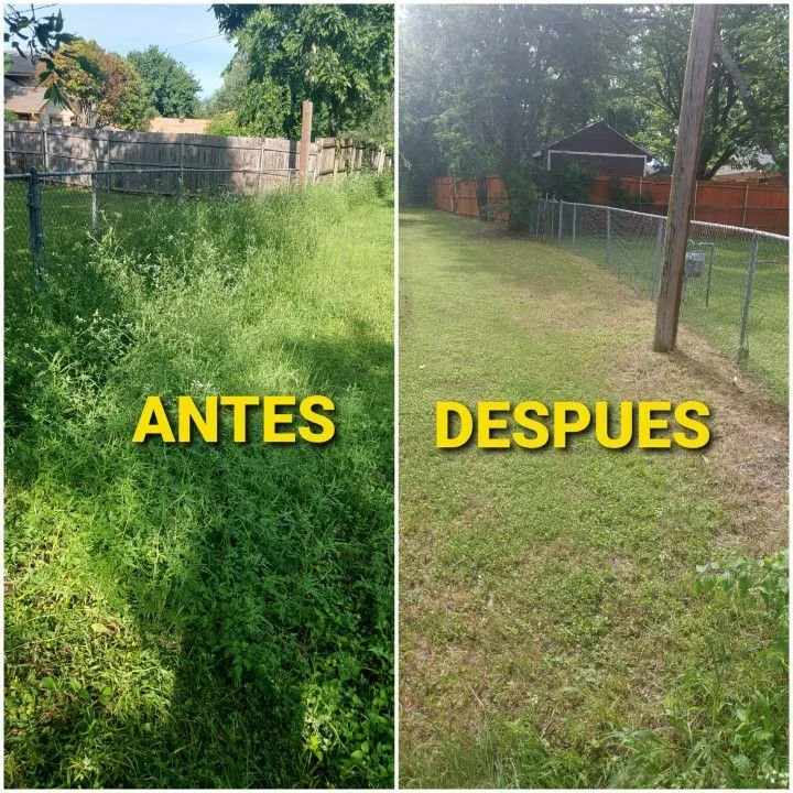 Trusted landscape design for beautiful yards in Charleston, SC by Clean N Shine