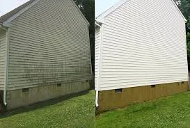 Custom yard maintenance experts serving Charleston, SC - Clean N Shine