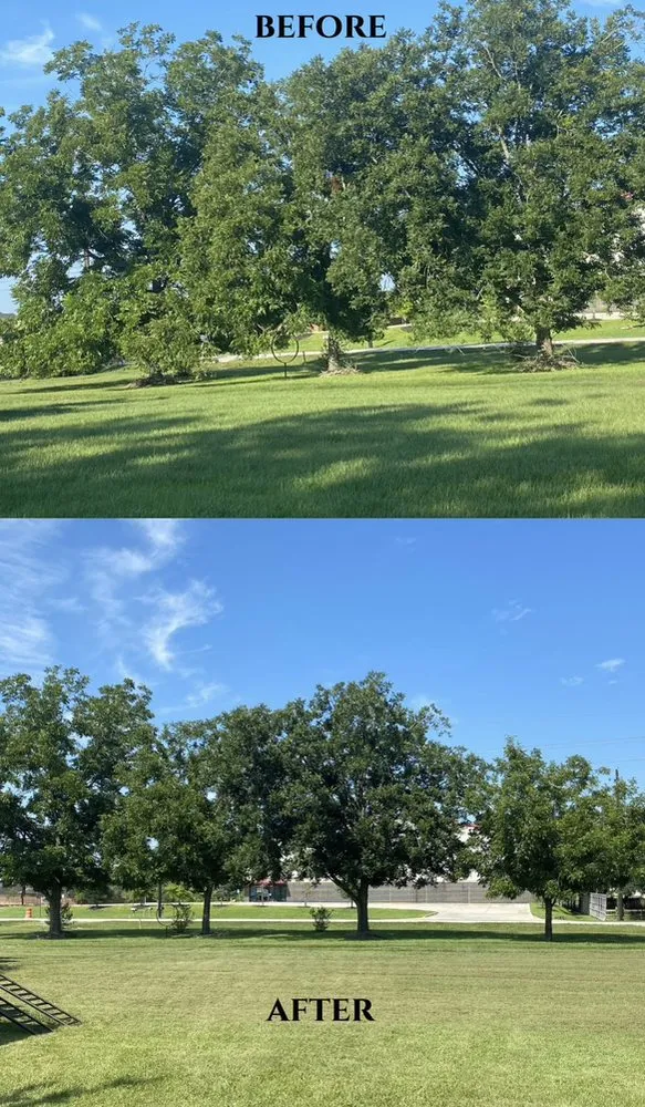 Professional landscaping services in Montgomery, TX by Clean Path Lawn Service