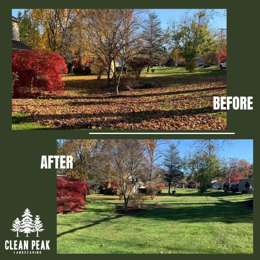 Custom yard maintenance in West Chester, PA - Clean Peak Landscaping