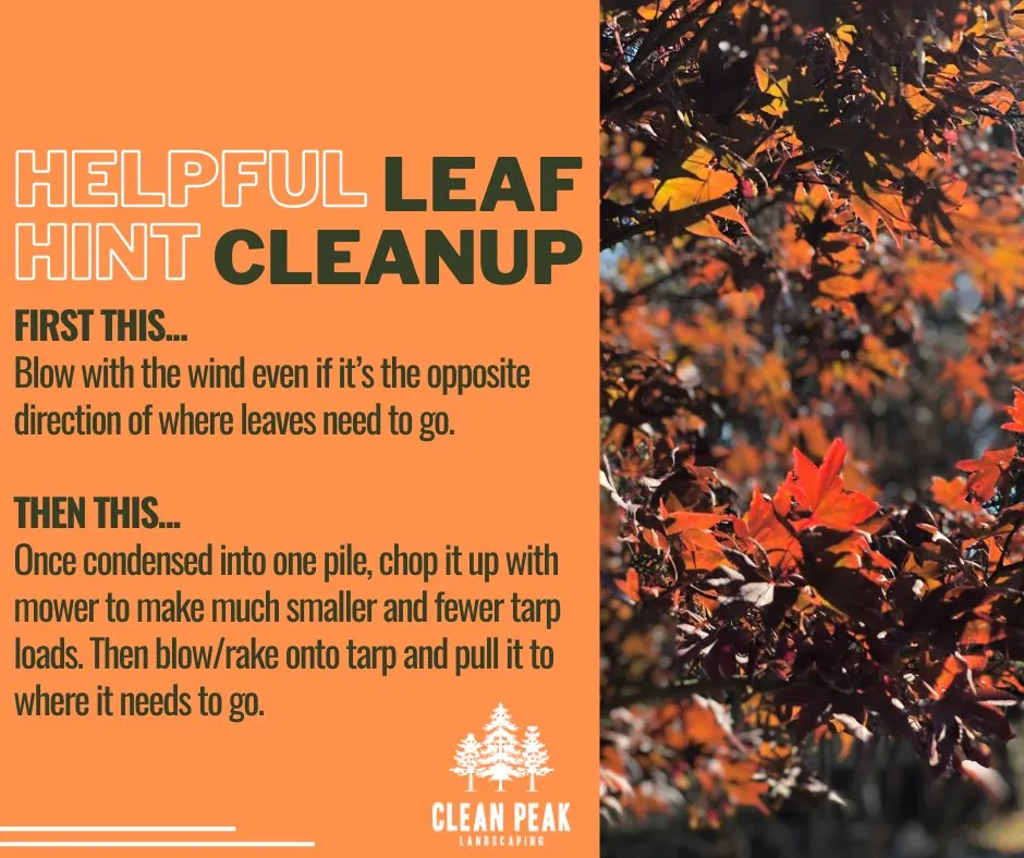 Trusted landscaping services in West Chester, PA - Clean Peak Landscaping