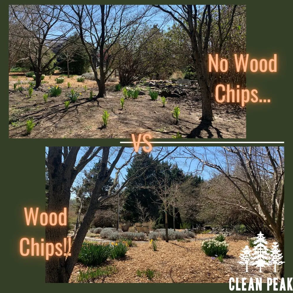 Top-rated lawn care service experts serving West Chester, PA - Clean Peak Landscaping