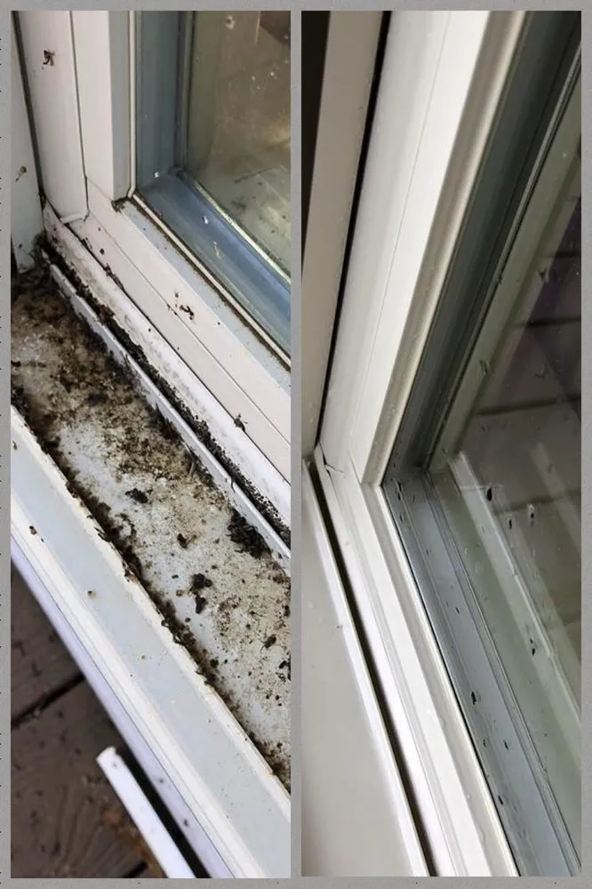 Affordable lawn mowing service with custom design in West Monroe, LA by Clean Property Maintenance