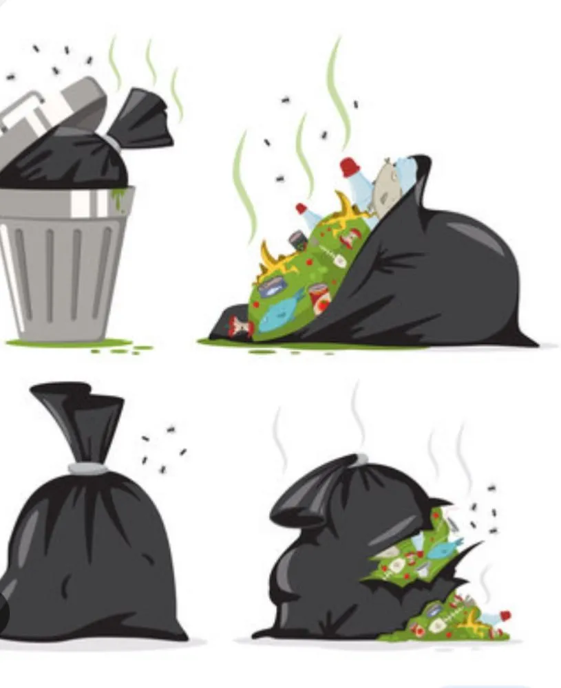 Trusted outdoor landscaping in Paradise, NV - Clean R Yard