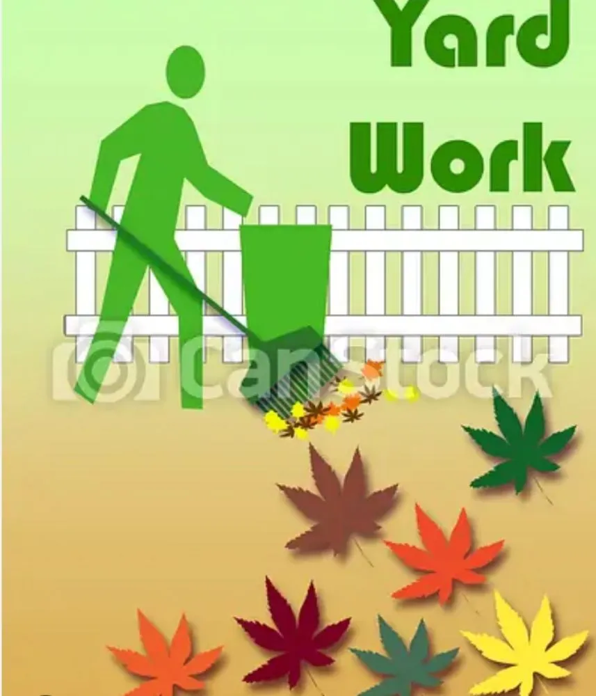 Affordable garden landscaping with custom design across Paradise, NV - Clean R Yard