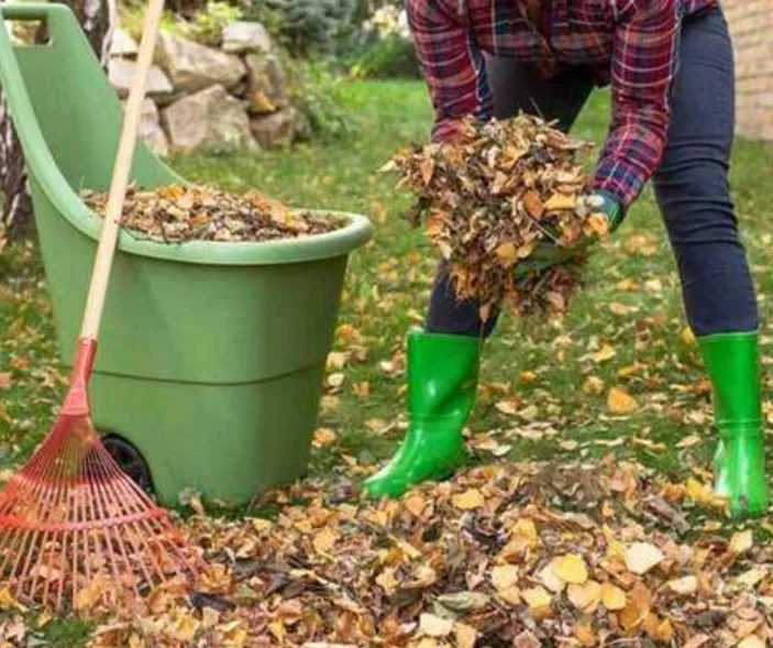 Affordable outdoor landscaping experts serving Paradise, NV - Clean R Yard