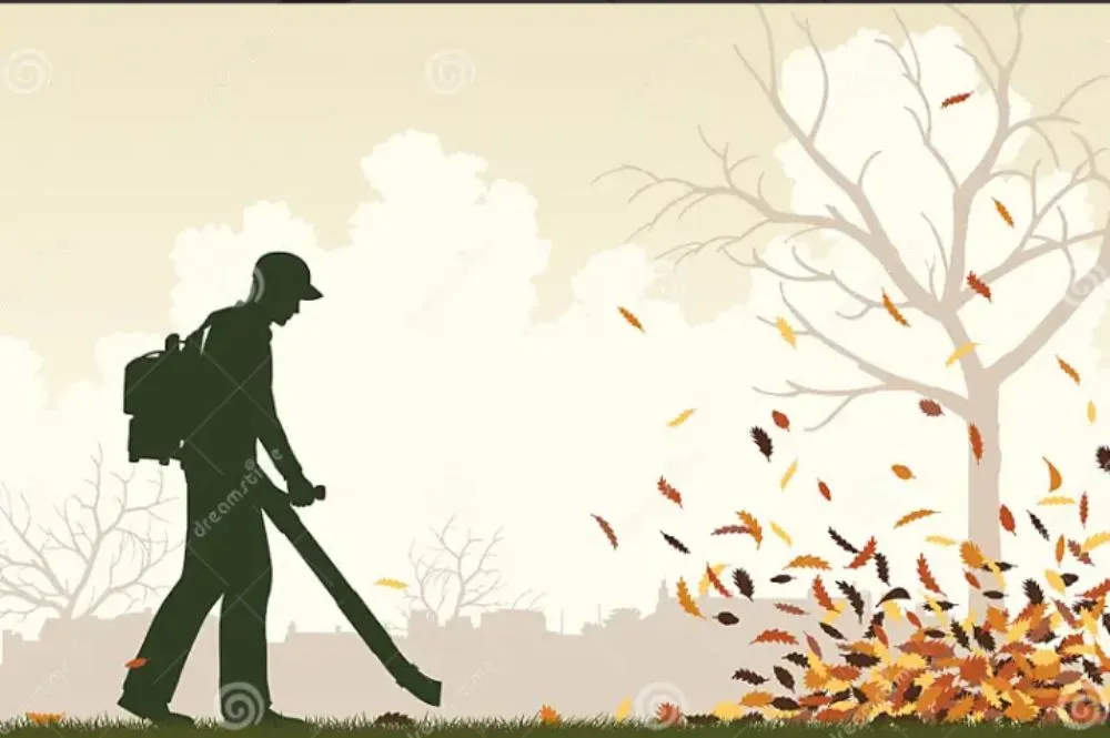 Top-rated garden landscaping experts serving Paradise, NV - Clean R Yard