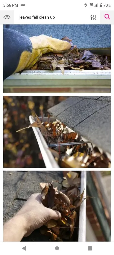 Affordable garden landscaping in Paradise, NV - Clean R Yard