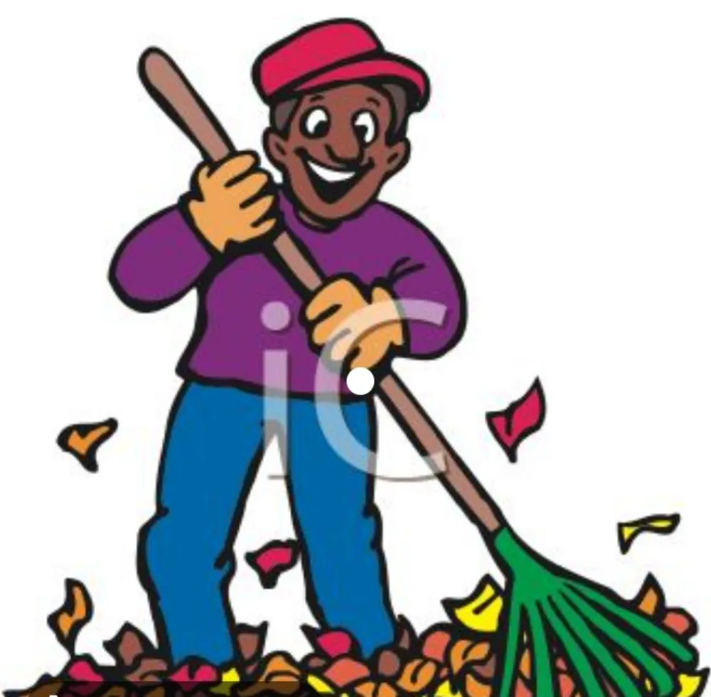 Local landscape design in Paradise, NV by Clean R Yard