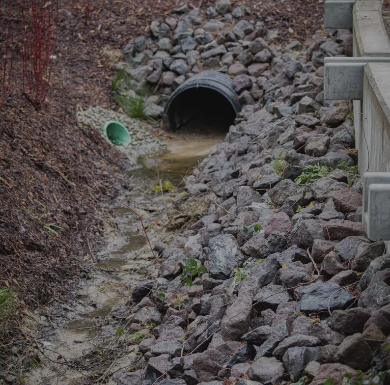 Reliable lawn care service experts serving North Bend, OR - Clean Rivers