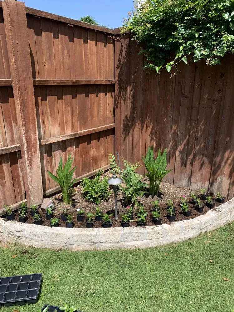 Trusted yard maintenance for residential properties across Garland, TX - Clean Roots Landscaping