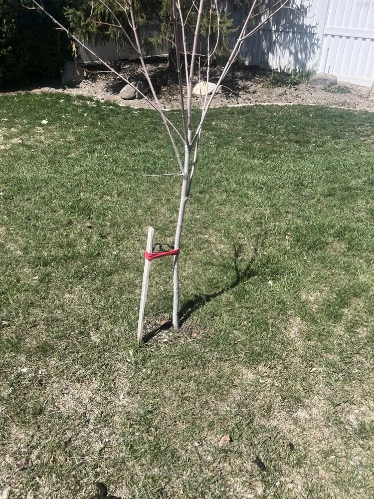 Custom yard maintenance in Lehi, UT by Clean Scape Utah