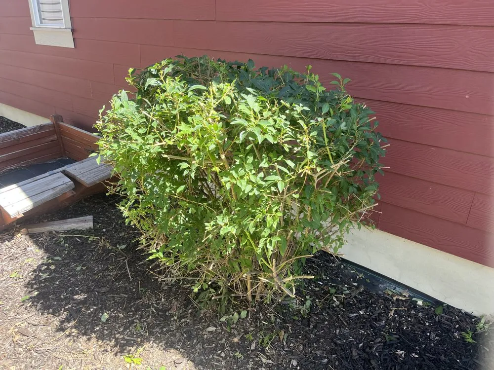 Custom garden landscaping for residential properties in Lehi, UT by Clean Scape Utah