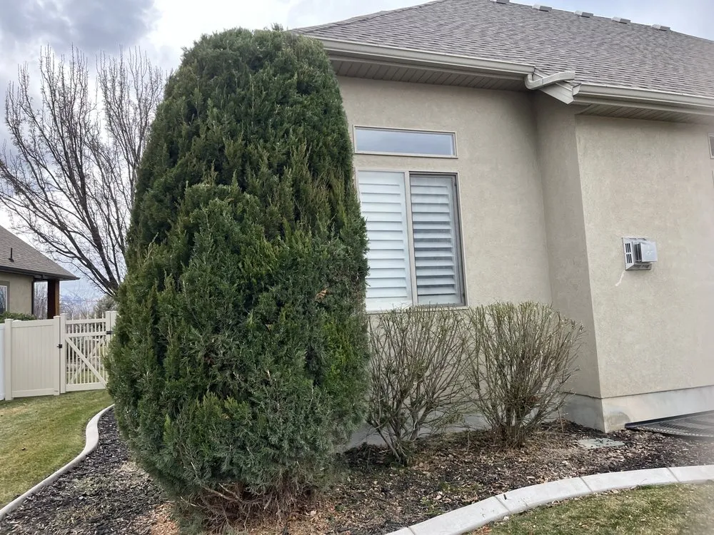 Local yard cleanup service for year-round maintenance across Lehi, UT - Clean Scape Utah
