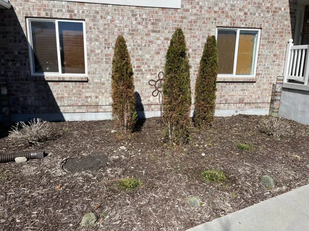 Trusted yard maintenance in Lehi, UT - Clean Scape Utah