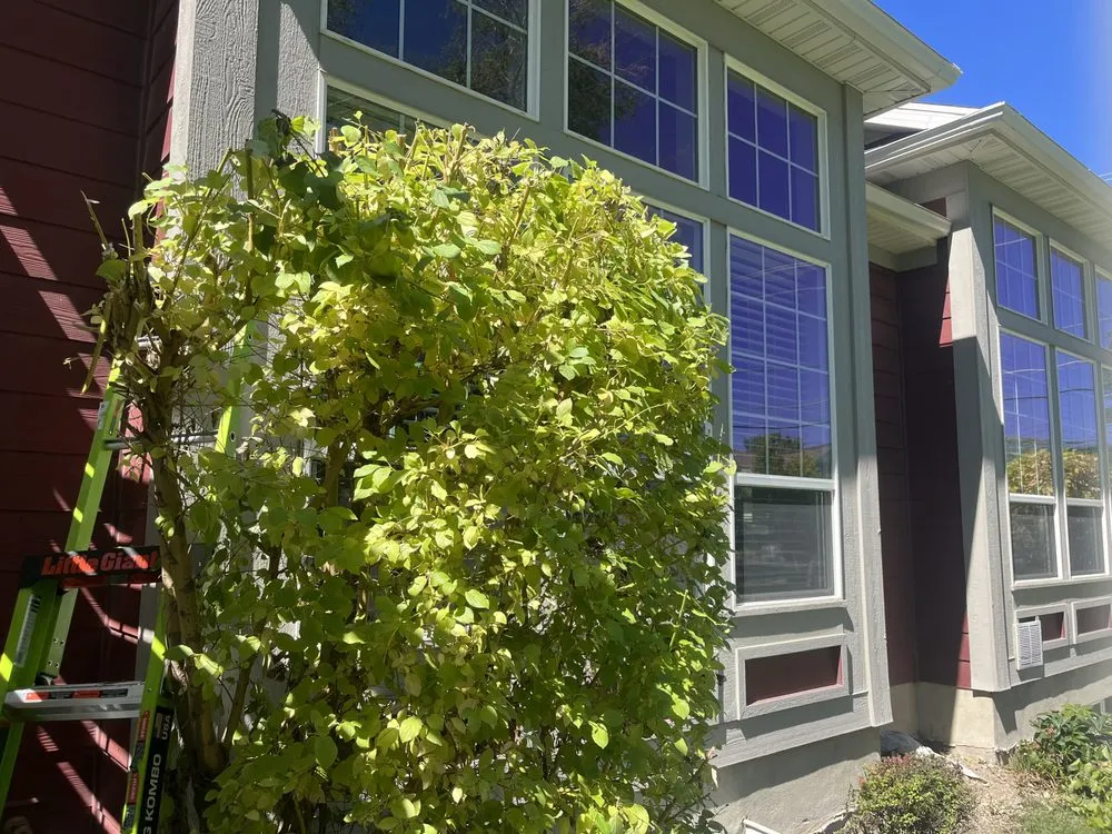 Expert outdoor landscaping in Lehi, UT - Clean Scape Utah