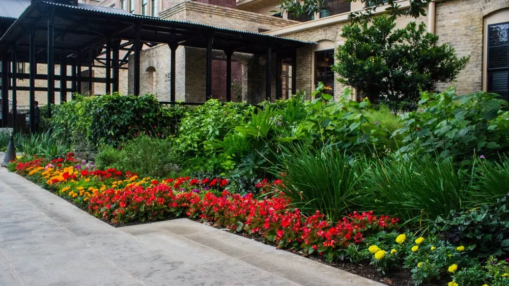 Top-rated lawn mowing service experts serving Austin, TX - Clean Scapes Landscaping