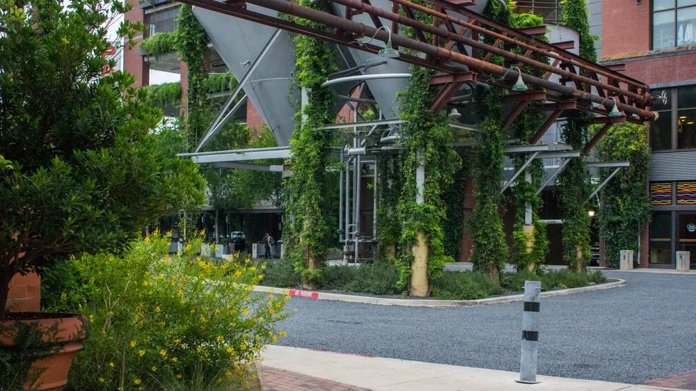 Reliable outdoor landscaping near you in Austin, TX by Clean Scapes Landscaping