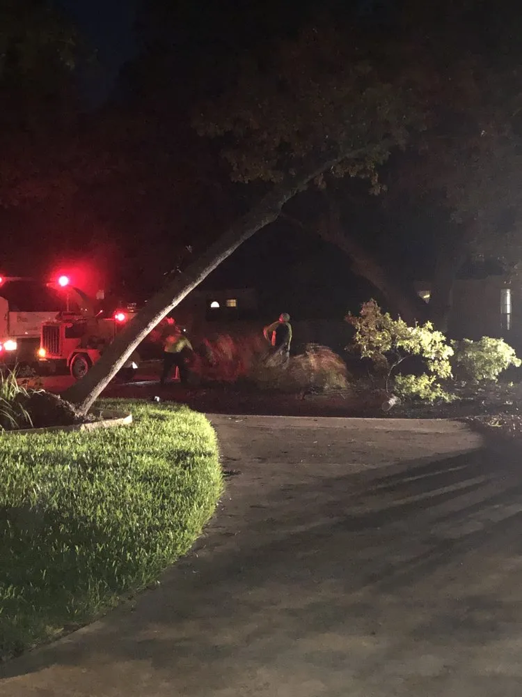 Custom yard cleanup service for residential properties in Austin, TX by Clean Scapes Landscaping