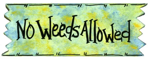 Top-rated yard maintenance in Laveen, AZ - Clean Service Pro