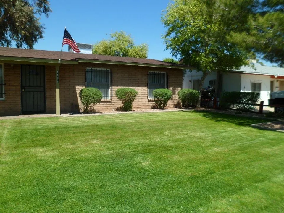 Local yard maintenance for residential properties in Laveen, AZ by Clean Service Pro