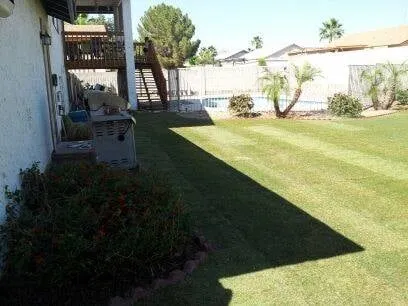 Professional yard maintenance in Laveen, AZ by Clean Service Pro