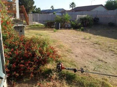 Custom landscaping services experts serving Laveen, AZ - Clean Service Pro