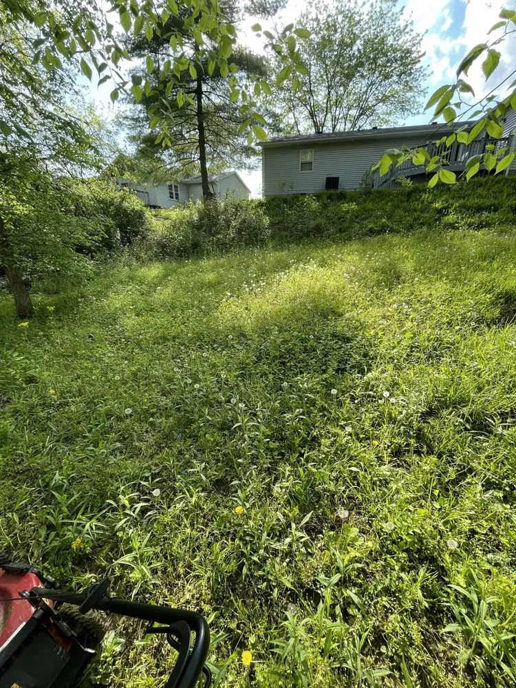 Expert lawn mowing service in Lebanon, OH by Clean Slate