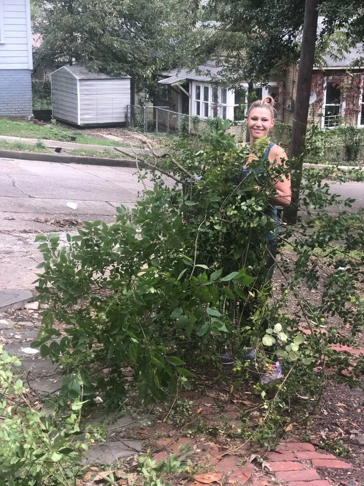 Reliable yard maintenance with custom design across Moody, AL - Clean Slate Premier Home Services