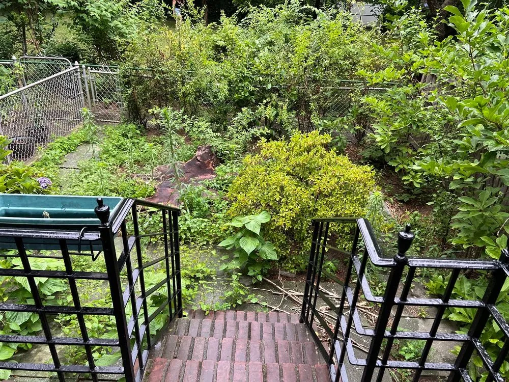 Professional outdoor landscaping in New York, NY - Clean Sweep By Shawn